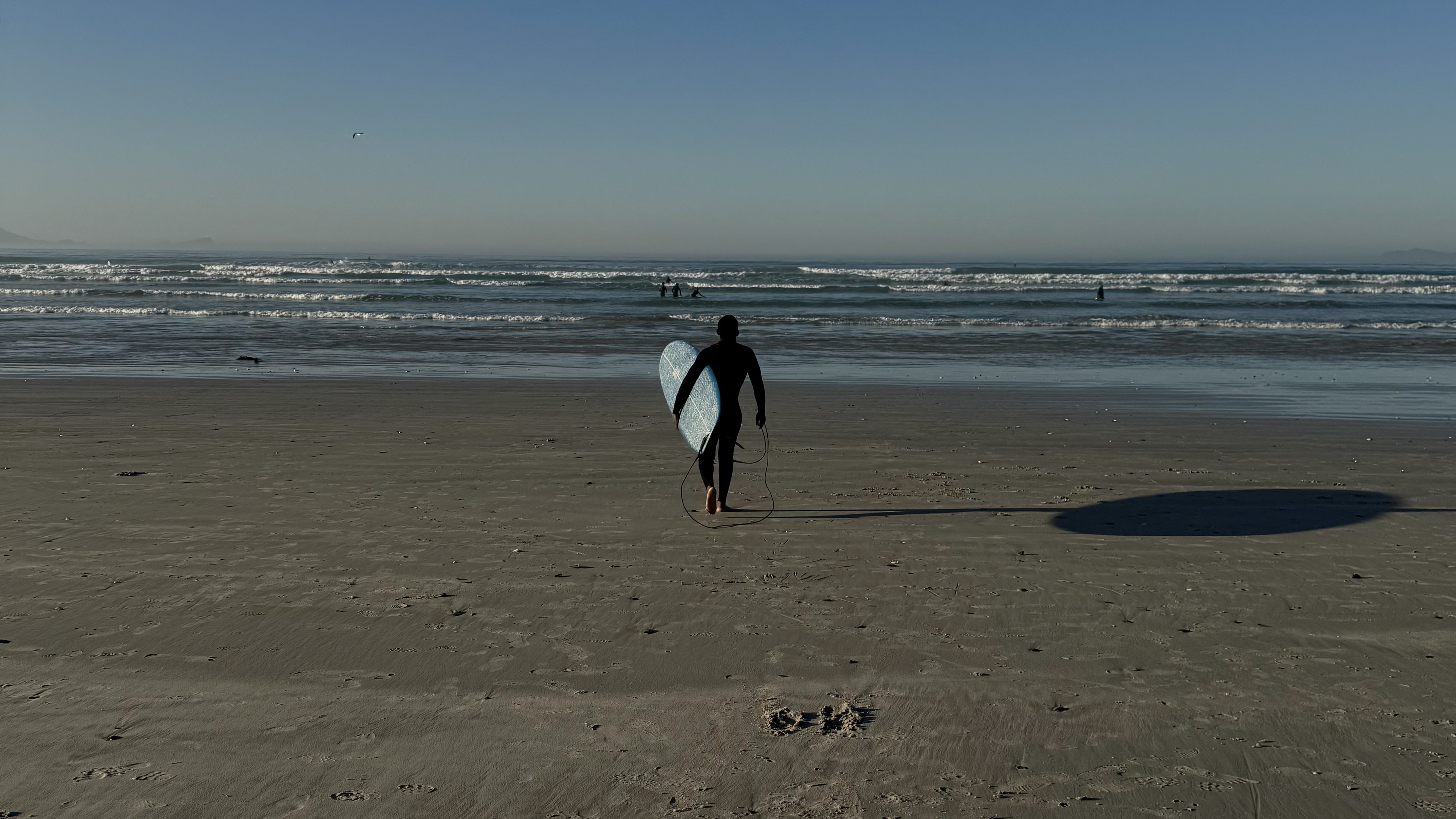 Surfer in his wetsuit at Muizenberg beach, Cape Town, with his longboard about to go for a surf
DE: Surfer im Neoprenanzug am Strand von Muizenberg, Kapstadt, mit seinem Longboard auf dem Weg zum Surfen
NL: Surfer in zijn wetsuit op Muizenberg beach, Kaapstad, met zijn longboard op het punt om te gaan surfen